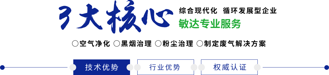 啊啊啊啊啊啊啊高潮不要太大了嗯嗯敏达环保科技（嘉兴）有限公司